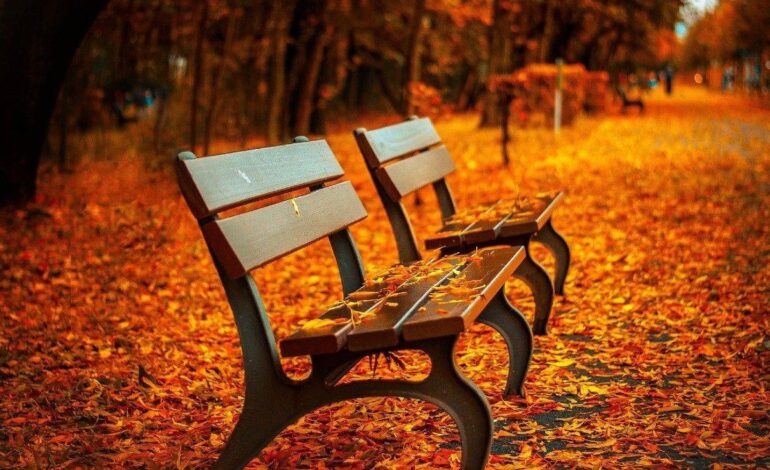 🌍🍂 El equinoccio de otoño 2025: el momento en que el día y la noche duran lo mismo 🍂🌍