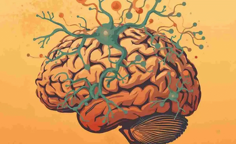 Trastornos de ansiedad se vinculan a bajos niveles de nutrientes en el cerebro, estudio