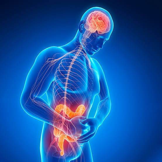 El Parkinson podría iniciar en el intestino, no en el cerebro