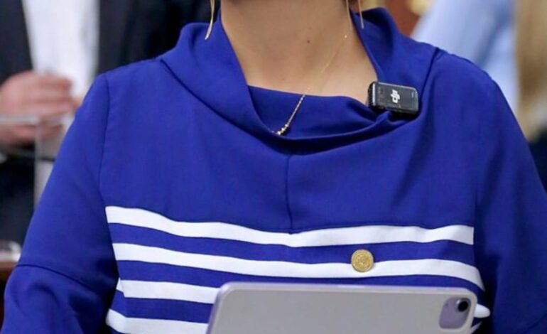 Crucial que reforma al código penal tipifique y sancione más severamente el acoso callejero: Liz Salgado