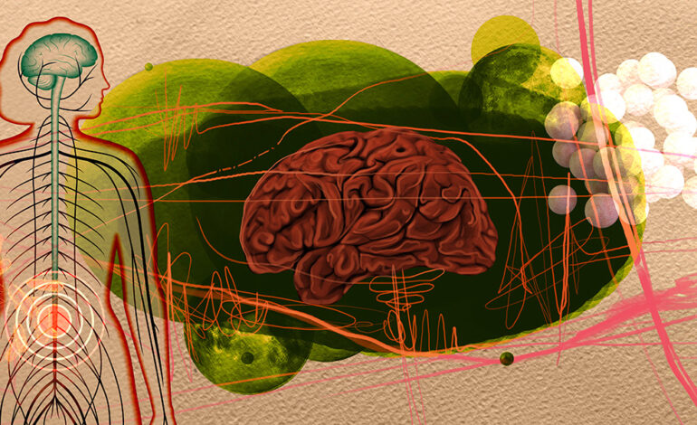 El parkinson podría iniciar en el intestino, no en el cerebro