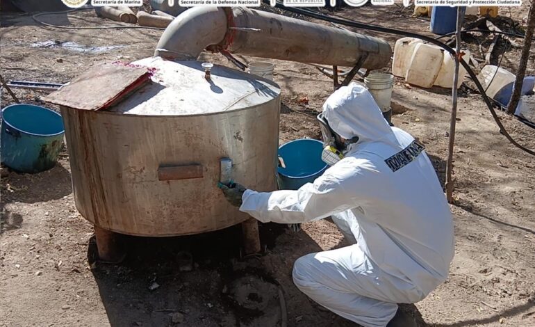 Desmantelan narcolaboratorios en Michoacán, Durango y Sinaloa: García Harfuch